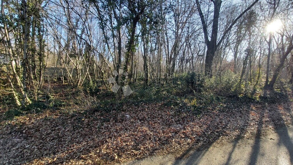 Image 6217403 - 4