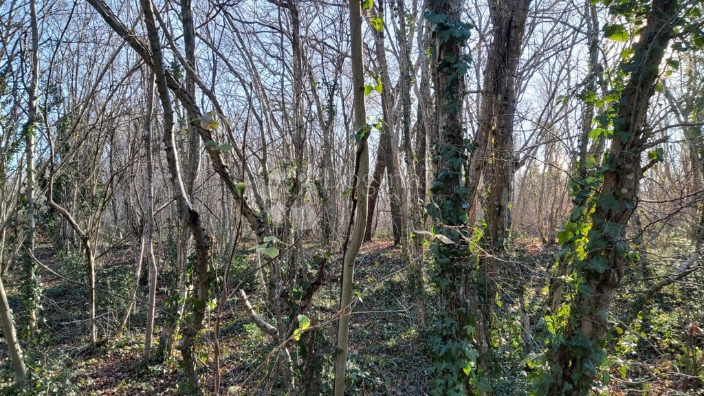 Image 6217403 - 3