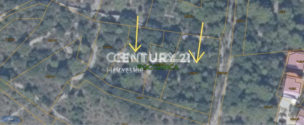 Image 6217466 - 7