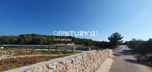 Thumbnail 6217466 - 5