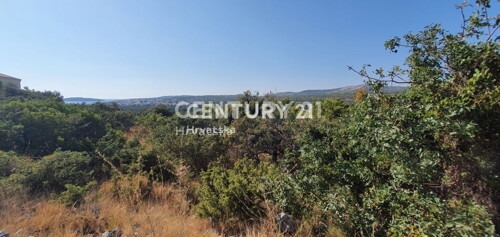 Thumbnail 6217466 - 3