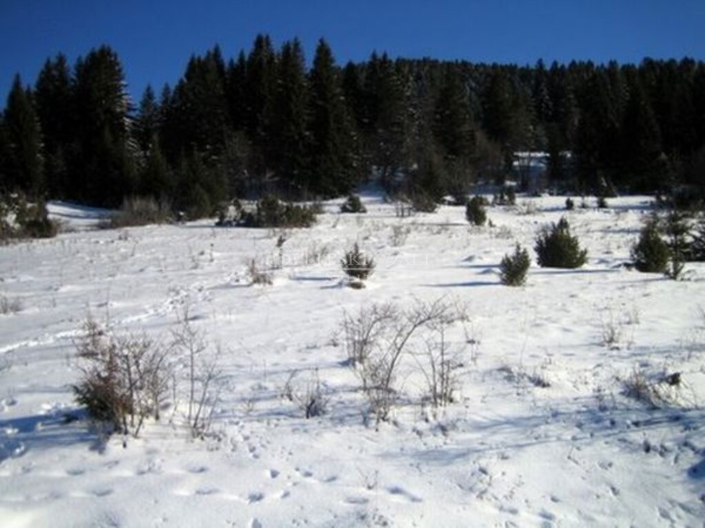 Image 6217480 - 3
