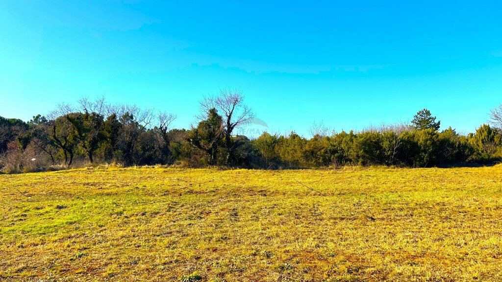 Image 6217498 - 5