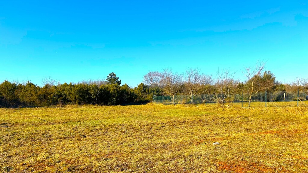 Image 6217498 - 4