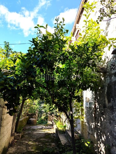 Thumbnail 6218126 - 4