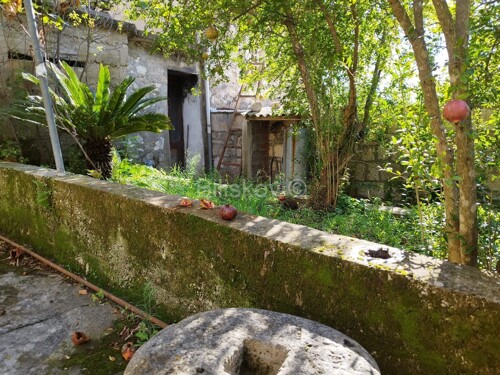 Thumbnail 6218126 - 6