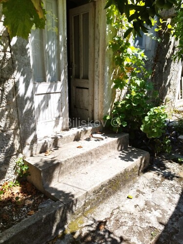 Thumbnail 6218126 - 5