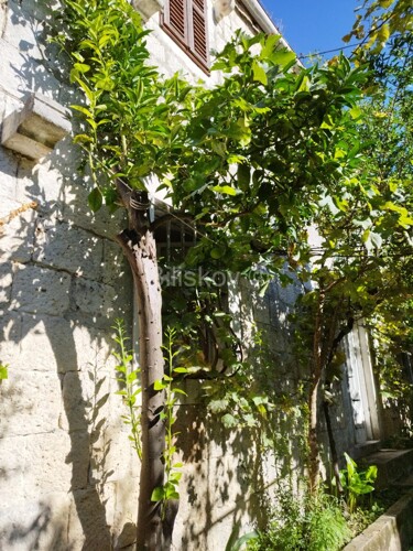 Pelješac, prodaja, kamena kuća i 3 ruševine
