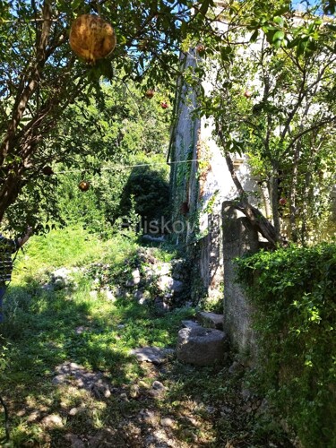 Thumbnail 6218126 - 9