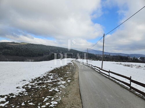 Thumbnail 6218132 - 13