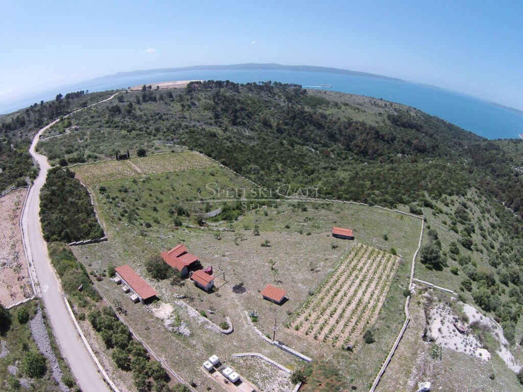 Image 6218230 - 1