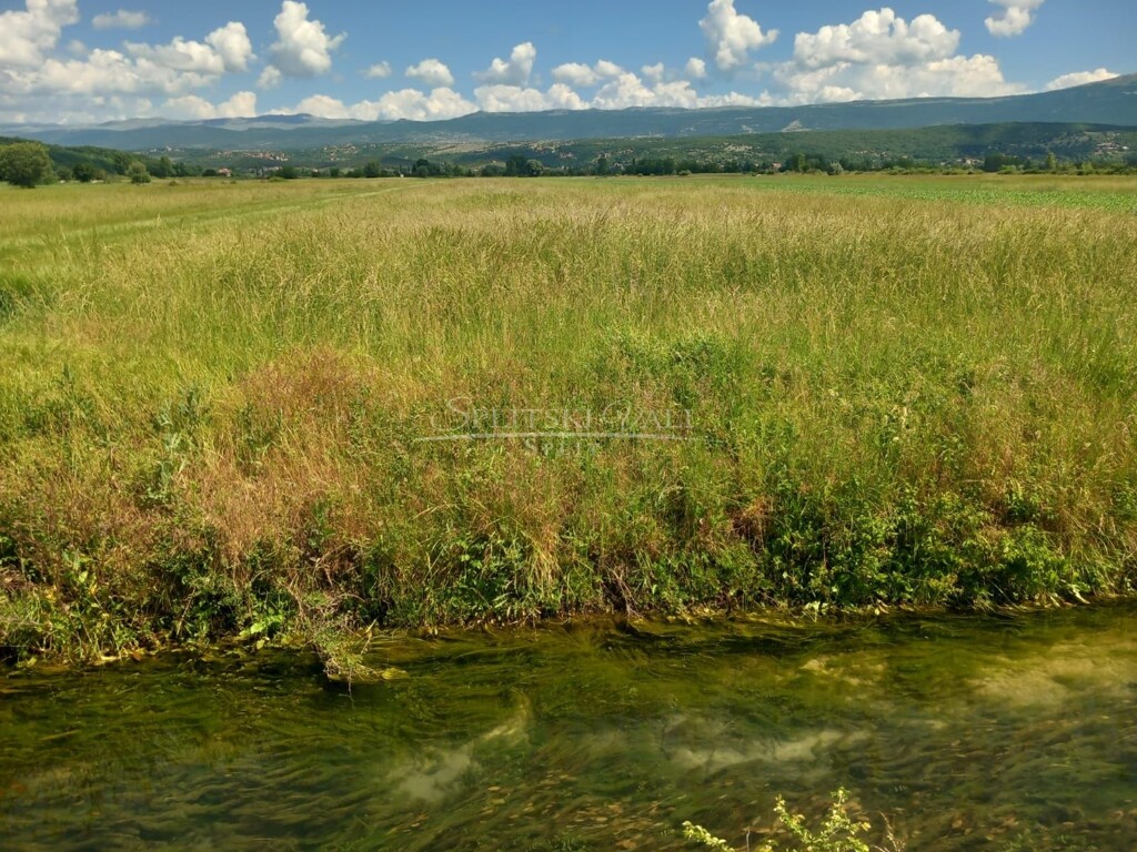 Image 6218236 - 2