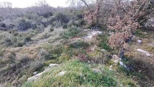 Thumbnail 6218245 - 6