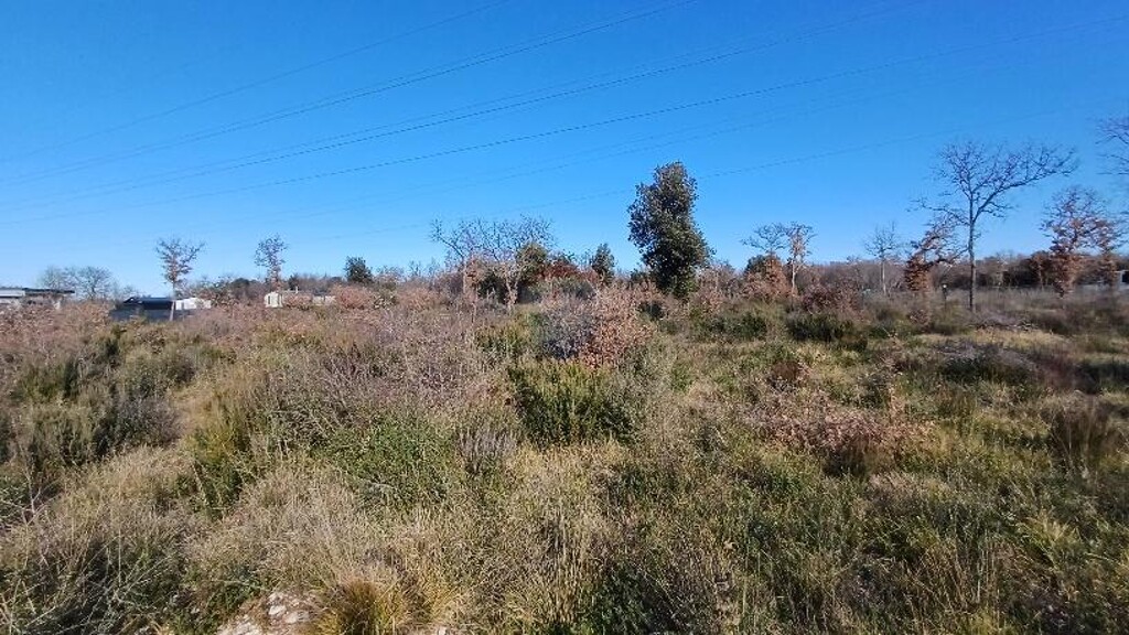 Image 6218245 - 3