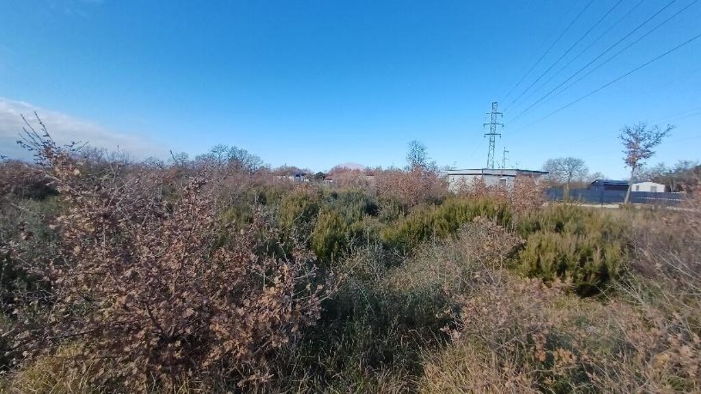 Image 6218245 - 4