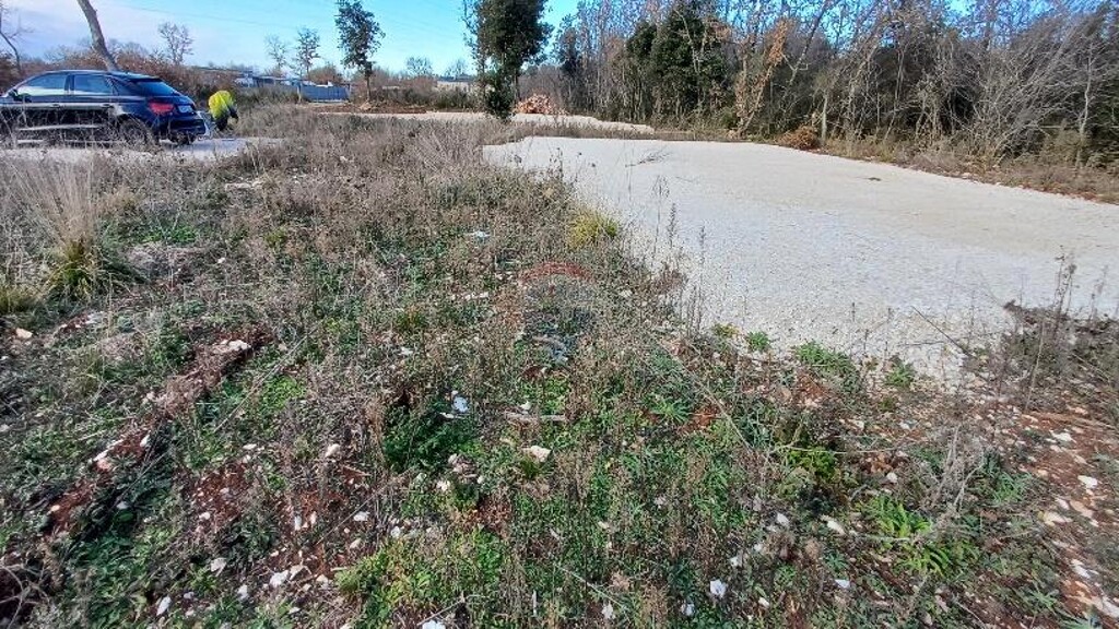 Image 6218246 - 6