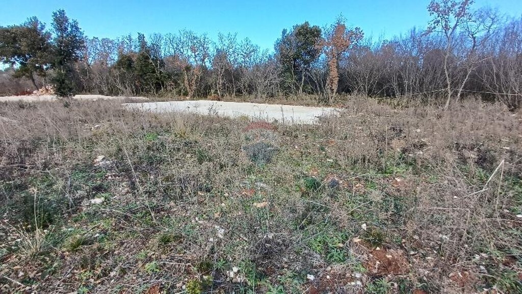 Image 6218246 - 4