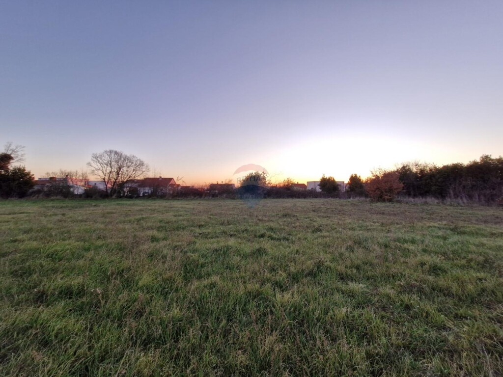 Image 6218249 - 3