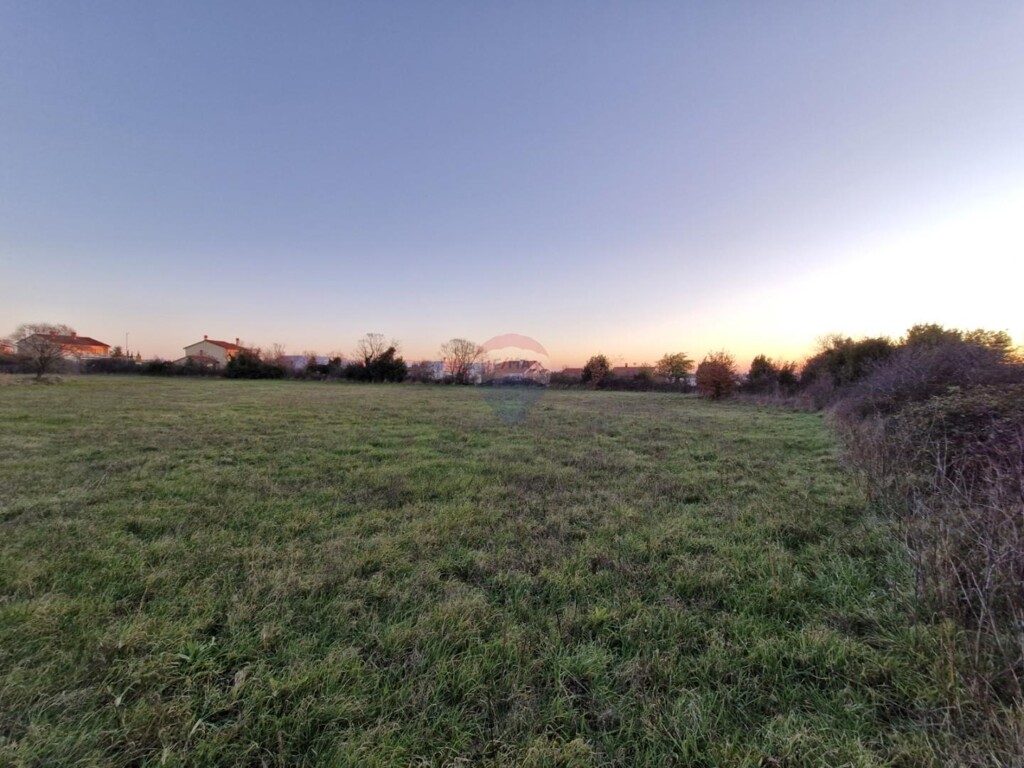 Image 6218249 - 2