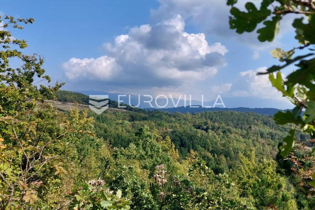 Image 6218616 - 6