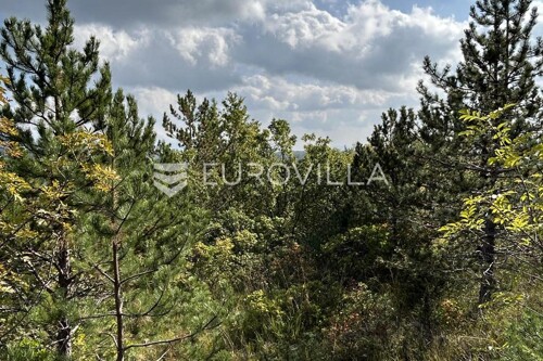 Thumbnail 6218616 - 7