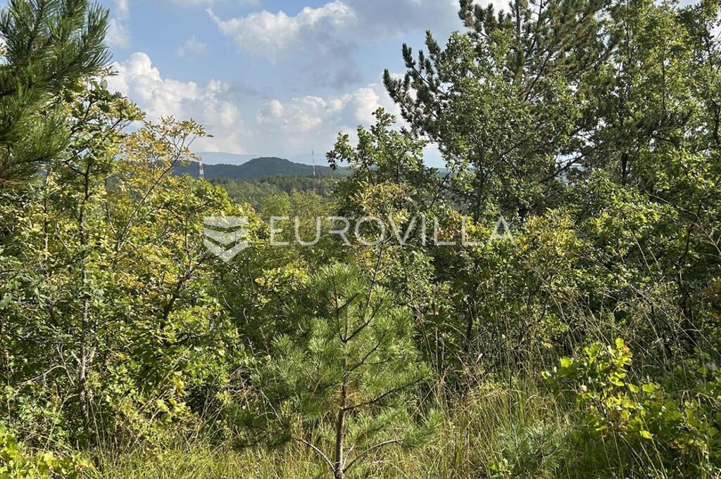 Image 6218616 - 5