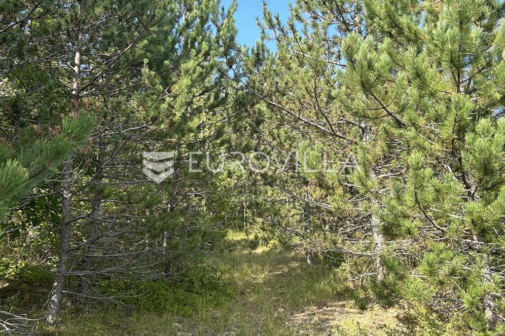 Image 6218616 - 3