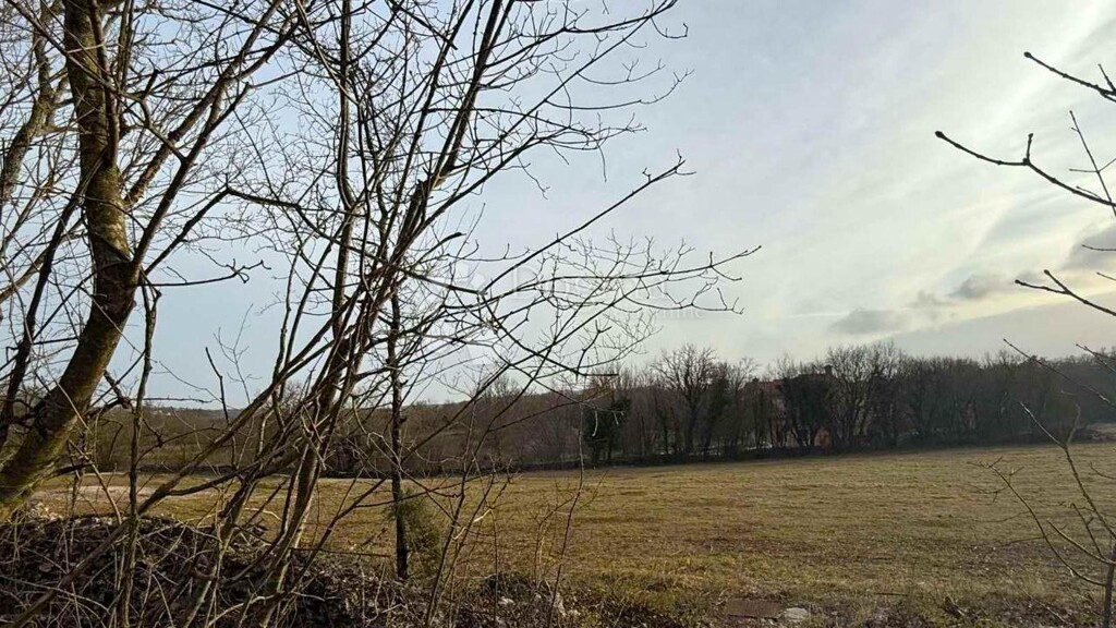 Image 6218650 - 8