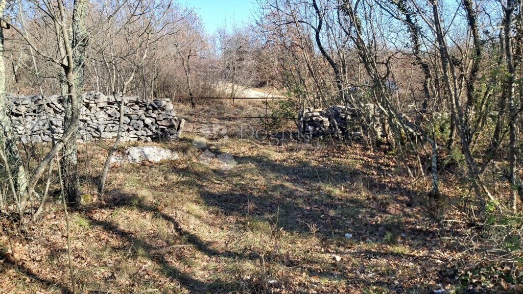 Image 6218655 - 3