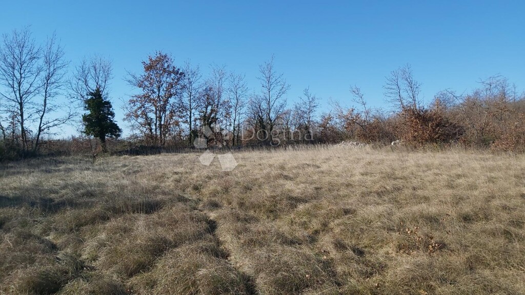 Image 6218655 - 1