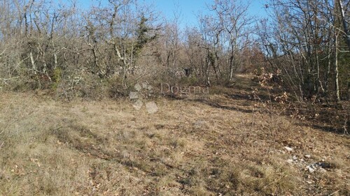 Thumbnail 6218655 - 7