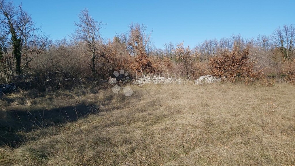 Image 6218655 - 4