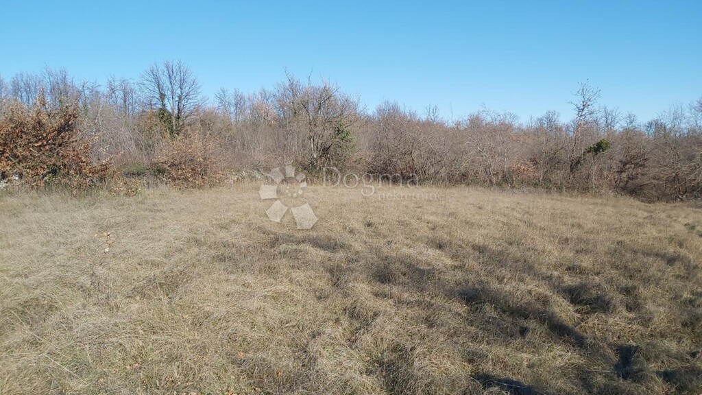 Image 6218655 - 6