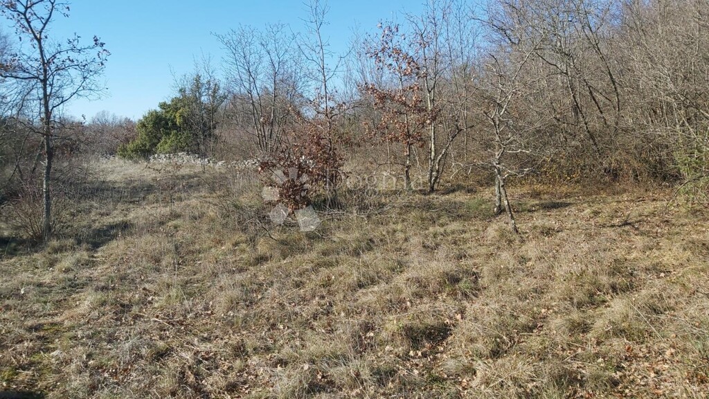 Image 6218655 - 5