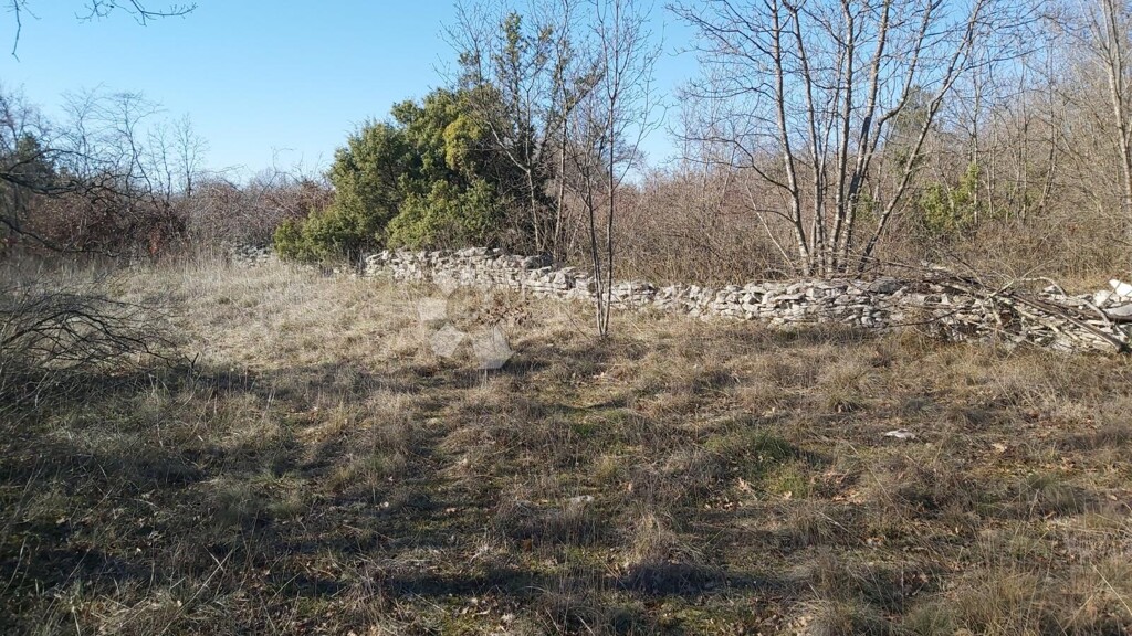 Image 6218655 - 2