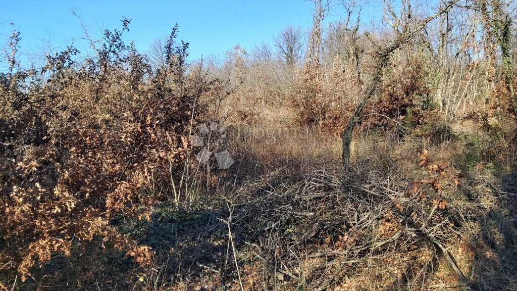 Image 6218655 - 8