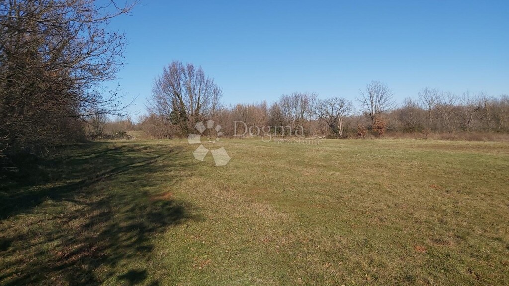 Image 6218656 - 4