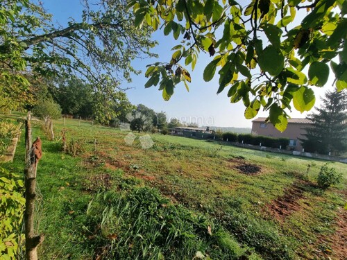 Thumbnail 6218661 - 15