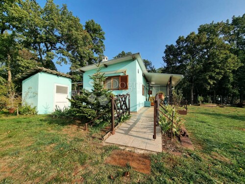 Thumbnail 6218661 - 22