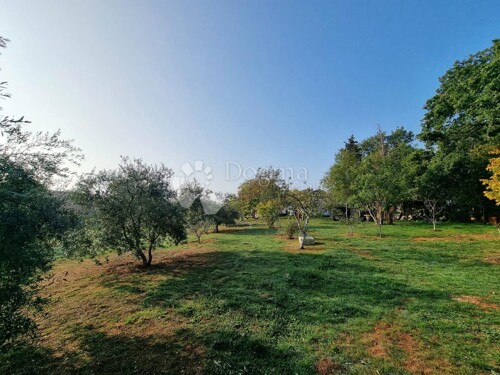 Thumbnail 6218661 - 16