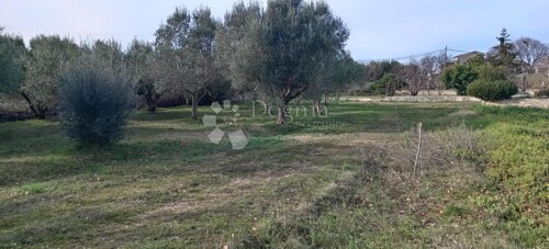 Thumbnail 6218673 - 2