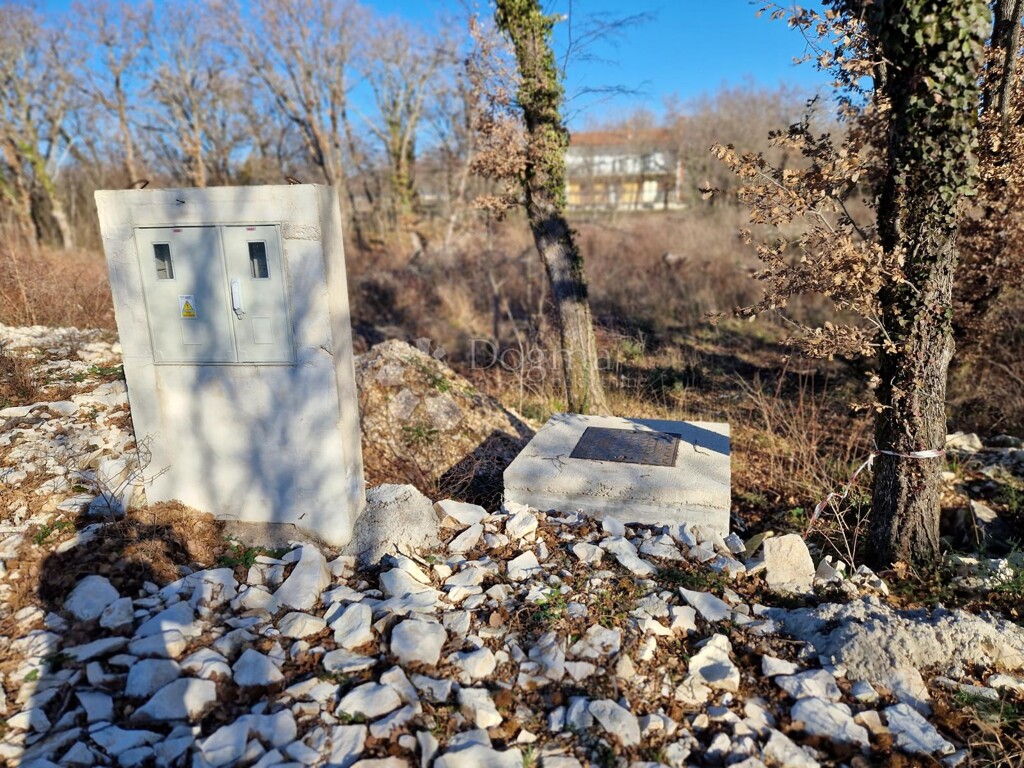 Image 6218675 - 2