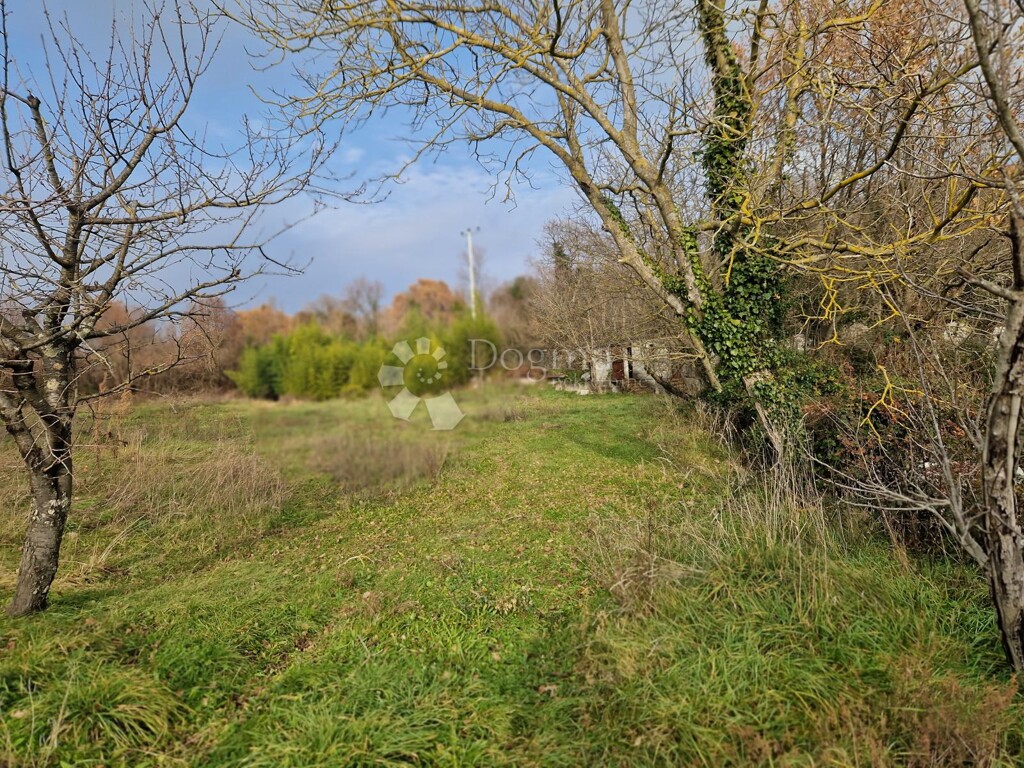Image 6218683 - 4