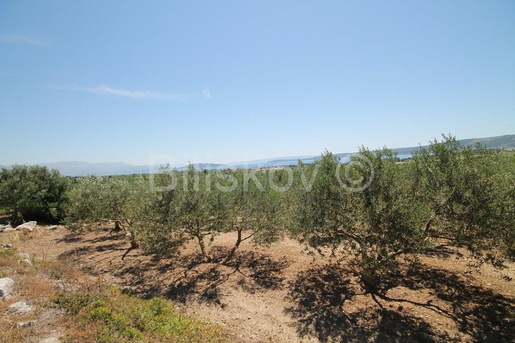 Image 6218772 - 1