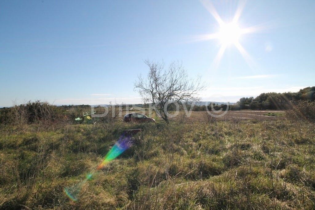 Image 6218773 - 1