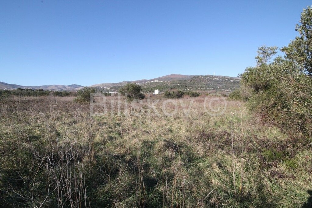 Image 6218773 - 2