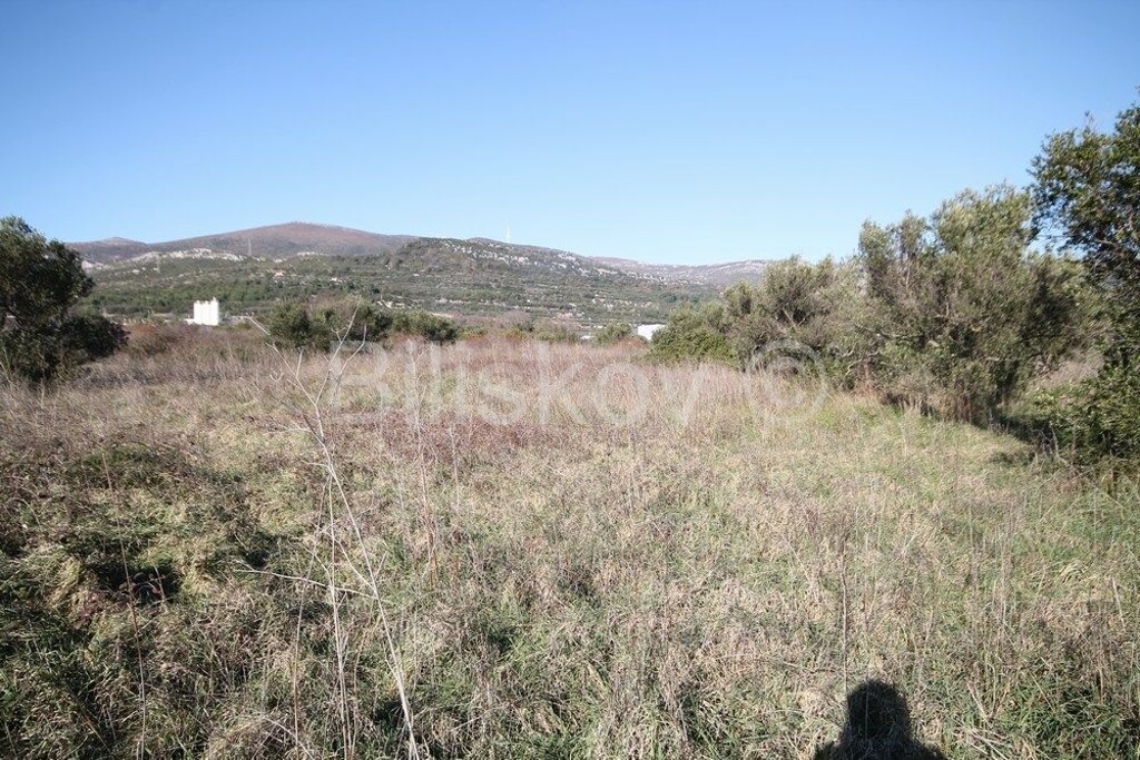 Image 6218773 - 5