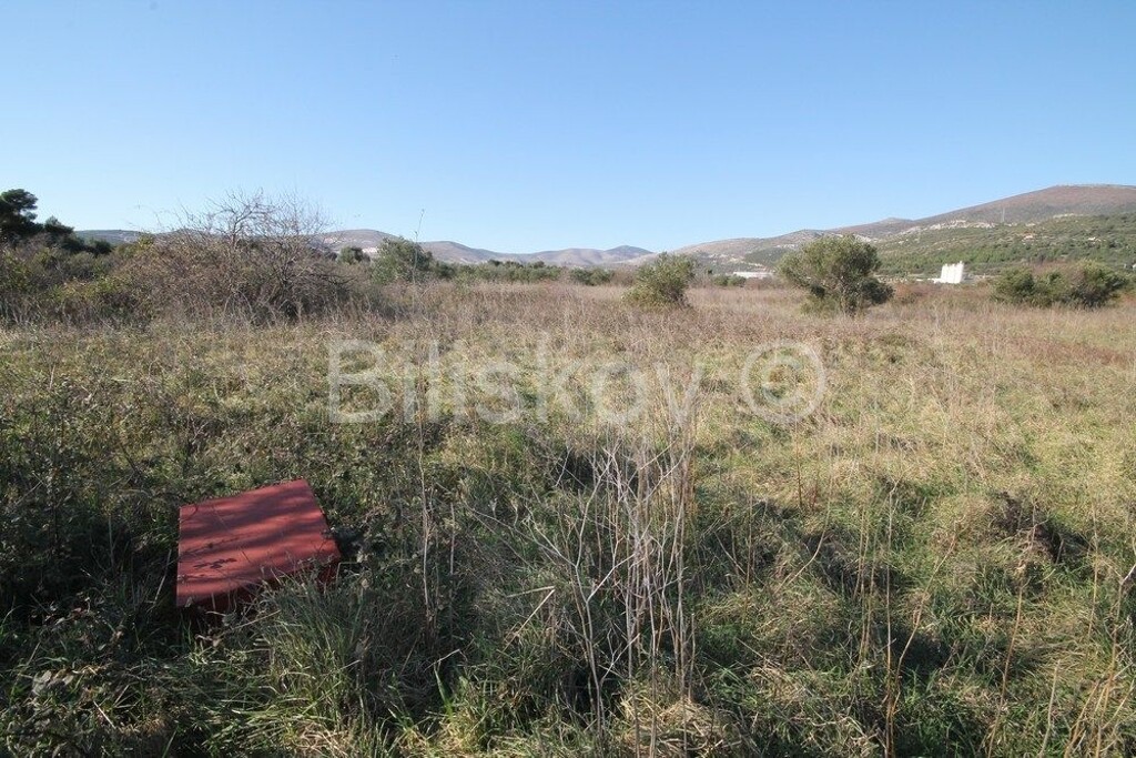 Image 6218773 - 3