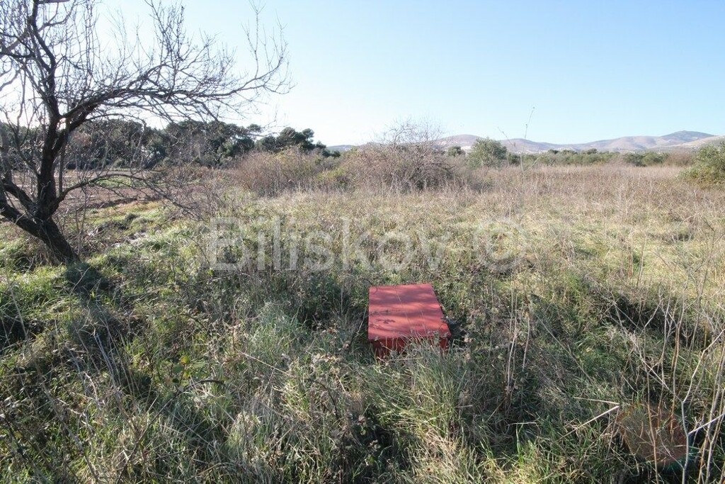 Image 6218773 - 4