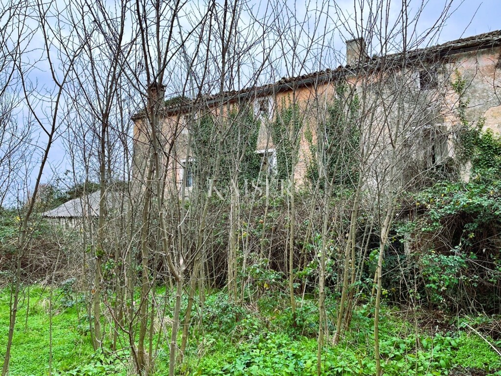 Image 6218843 - 4
